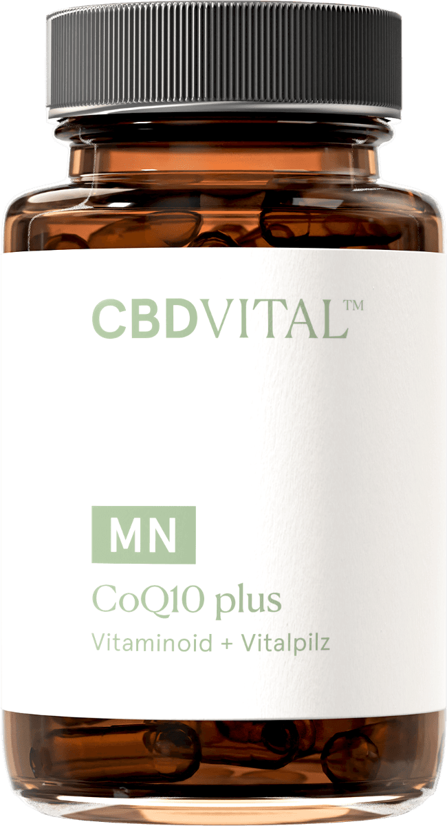 CBD Vital Coenzym Q10 plus