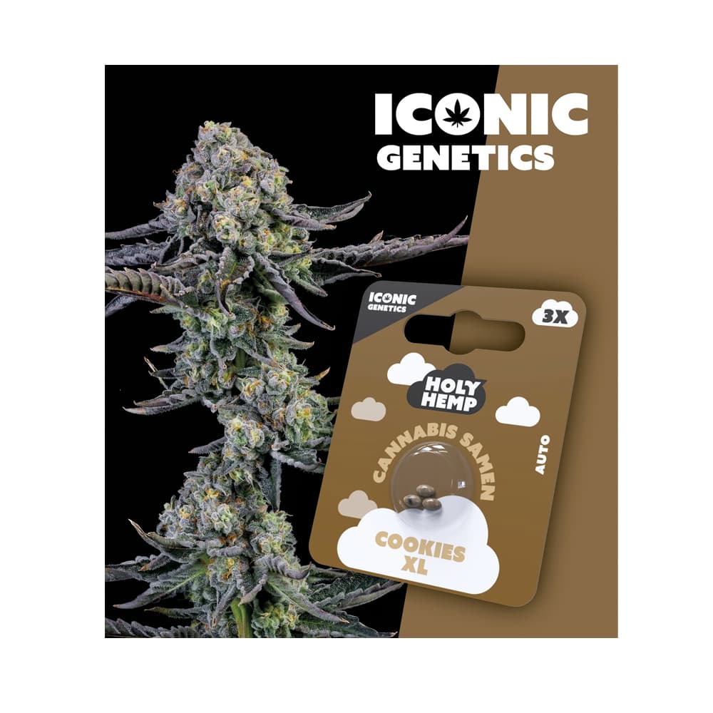 Holy Hemp Cannabis Seeds Cookies XL