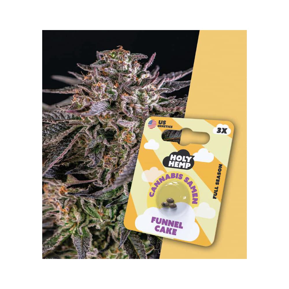 Holy Hemp Cannabis Seeds Funnel Cake
