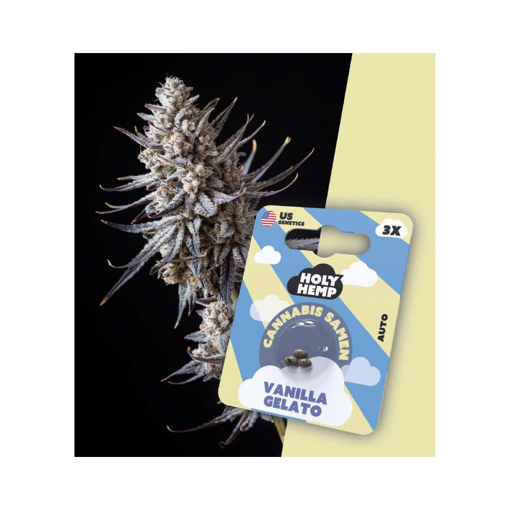 Holy Hemp Cannabis Seeds Vanille Gelato