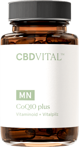 CBD Vital Coenzym Q10 plus