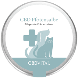 CBD Vital Pfotensalbe