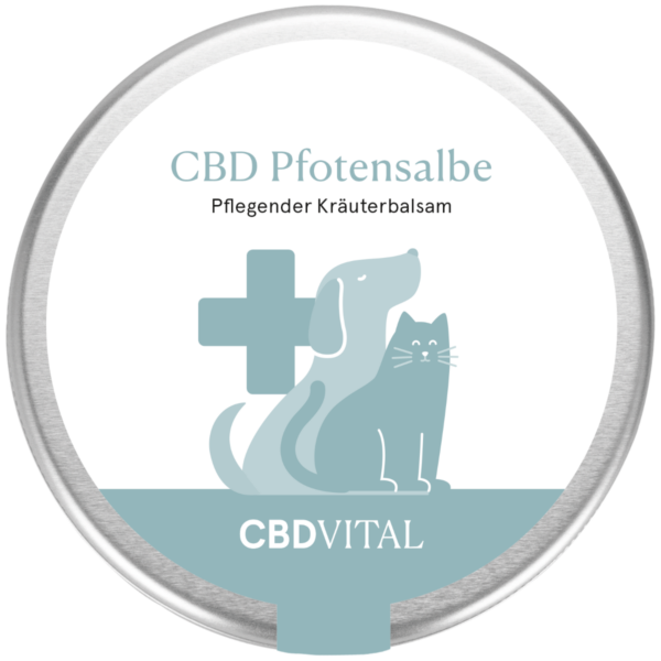 CBD Vital Pfotensalbe