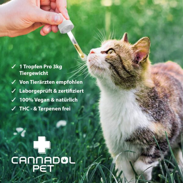 Cannadol CBD Oil Pet Cat 3% - Image 4