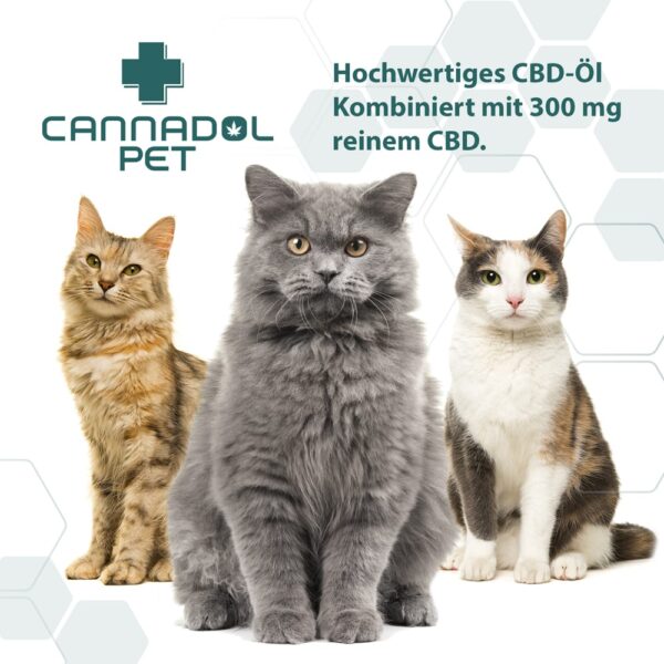 Cannadol CBD Oil Pet Cat 3% - Image 5