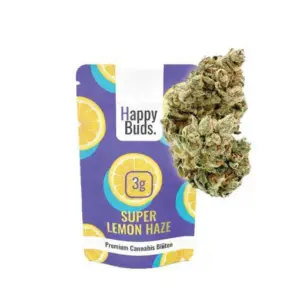 lemon flower blueten