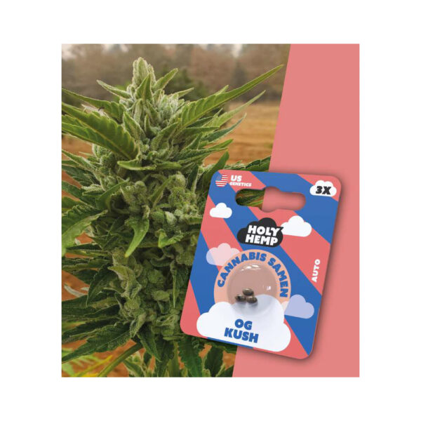 Holy Hemp Cannabis Seeds Auto-Flowering - OG Kush