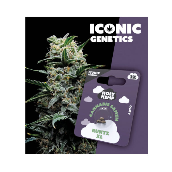 Holy Hemp Cannabis Seeds Runtz XL